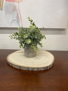 Wooden Rounds (small)