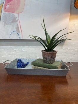 Galvanized Tray (medium)